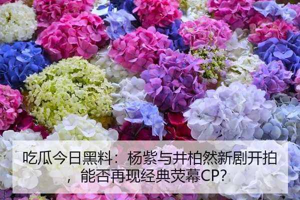 吃瓜今日黑料：杨紫与井柏然新剧开拍，能否再现经典荧幕CP？