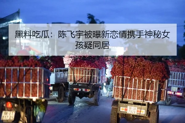 hei-liao-chi-gua-chen-fei-yu-bei-pu-xin-lian-qing-xie-shou-shen-mi-nv-hai-yi-tong-ju-2-519.jpg